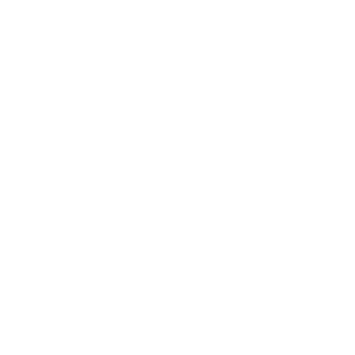 aesthetics logo
